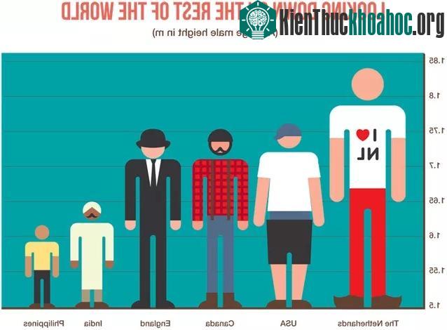 Biểu đồ so sánh chiều cao trung bình của các nước trên thế giới.