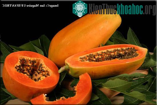 Tác dụng của quả đu đủ