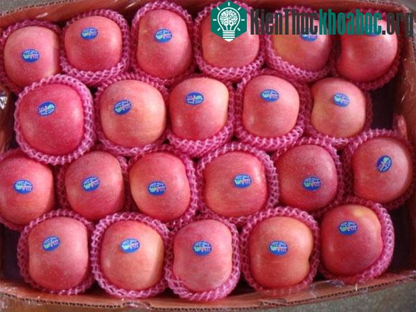 Táo Trung Quốc có màu phấn hồng, hồng nhạt, thường bọc trong lưới xốp.