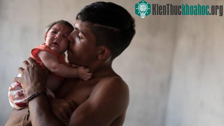 Cách phòng tránh lây nhiễm virus zika
