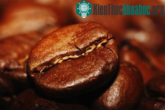 Hạt cà phê cũng có thể được dùng để loại trừ một số mùi hôi