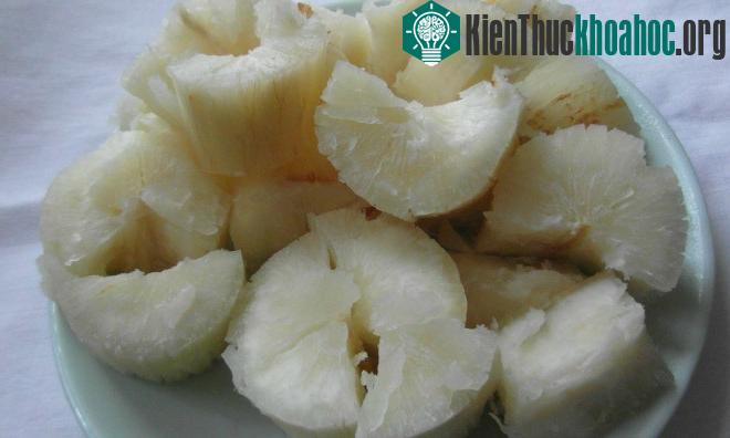 Trong củ sắn (khoai mì) có nhiều độc tố dễ gây ngộ độc nếu không chế biến đúng cách.