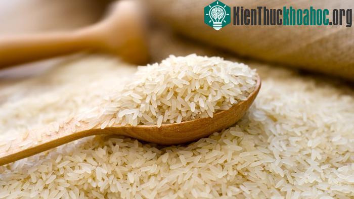 Tinh bột chứa trong gạo được chia thành hai loại.