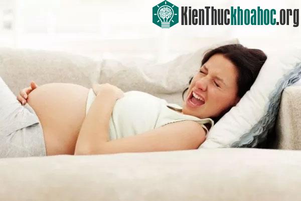 Đi tìm cơn đau tồi tệ nhất con người có thể chịu đựng