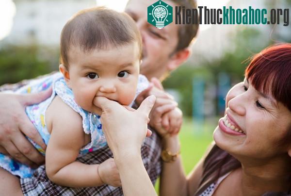 Trí thông minh của bạn là do thứ tự sinh quyết định?