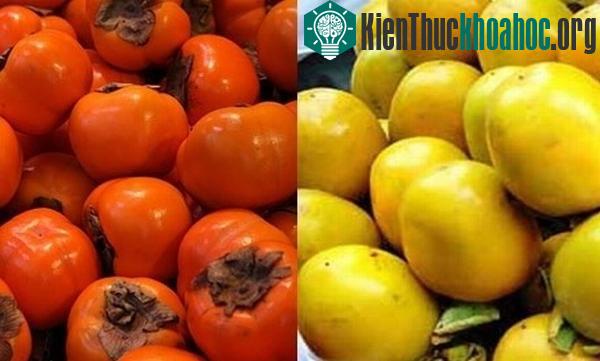Hồng Trung Quốc tròn đều và có màu đỏ cam tươi đậm.