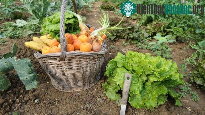Tìm những nguồn cung cấp đáng tin cậy.