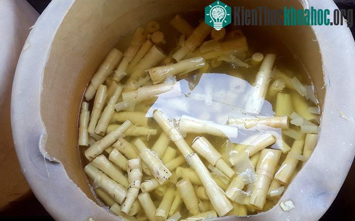 Chất Aurmine O còn gây hại các tế bào gan, thận và tủy xương