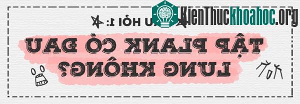 Plank là một trong những động tác ít gây đau lưng nhất.