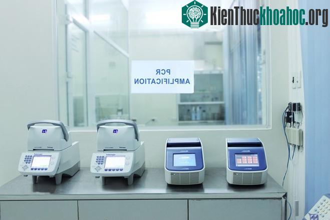 Sau khi ADN được tách chiết, các kỹ thuật viên sẽ thực hiện phản ứng PCR nhân ADN đặc hiệu.