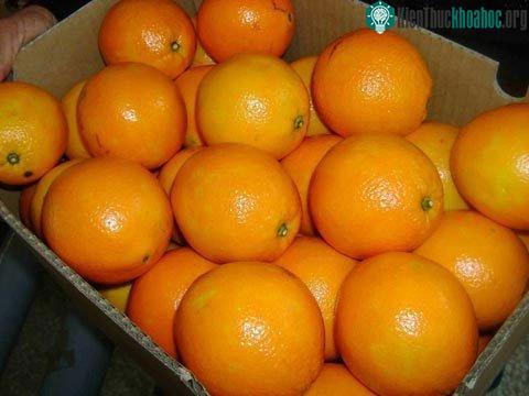 Cam Trung Quốc có màu vàng sẫm, loang lổ không đều màu.