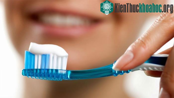 Thời điểm thích hợp để đánh răng là khoảng 30 phút sau khi ăn sáng.