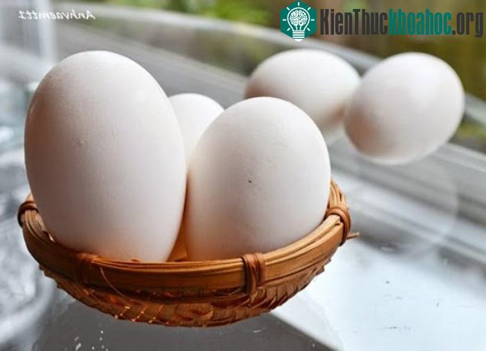 Trong giai đoạn bầu bí, chức năng hấp thụ và tiêu hóa các chất yếu dần, khả năng giải độc của thận và gan giảm. Do đó, nếu thừa quá nhiều chất dinh dưỡng dễ gây thêm "gánh nặng" cho gan v...