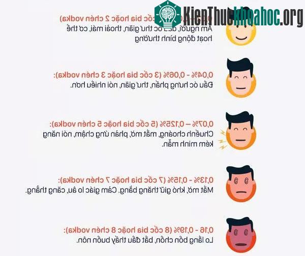 Lý giải vì sao có người tửu lượng cao, người "nửa ly đã gục" ảnh 2