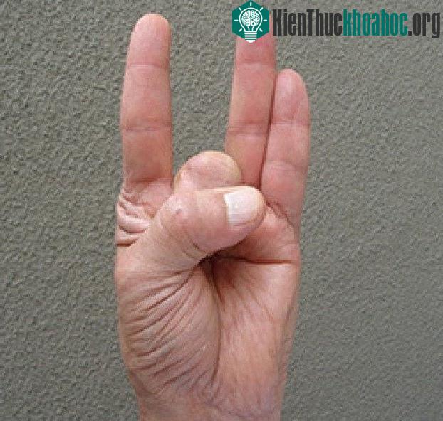 Shunya mudra