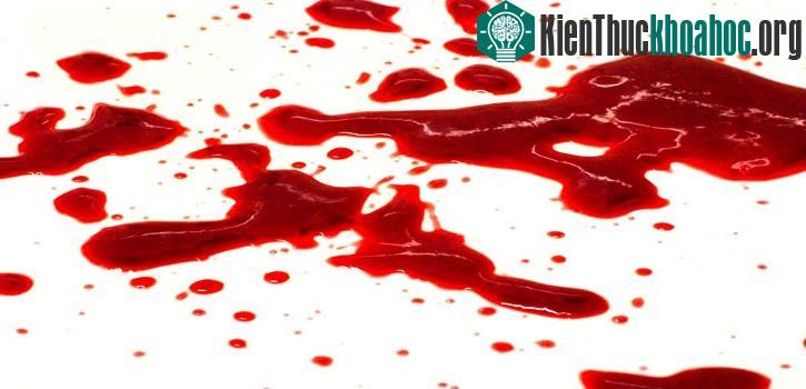 Ám ảnh với máu còn thường xuyên liên kết với các rối loạn thần kinh.