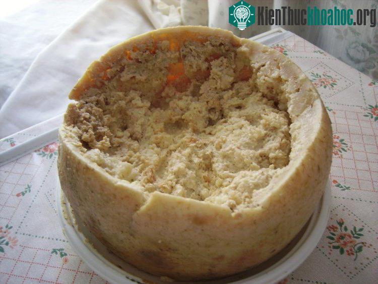 Pho mát thối