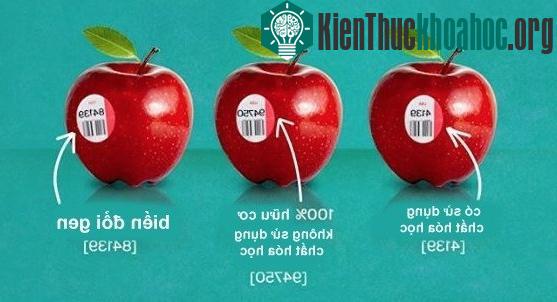 Ý nghĩa của những mã code trên trái cây.