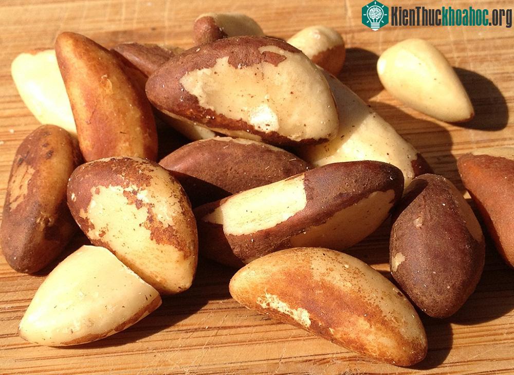 Thực phẩm tốt cho sức khỏe