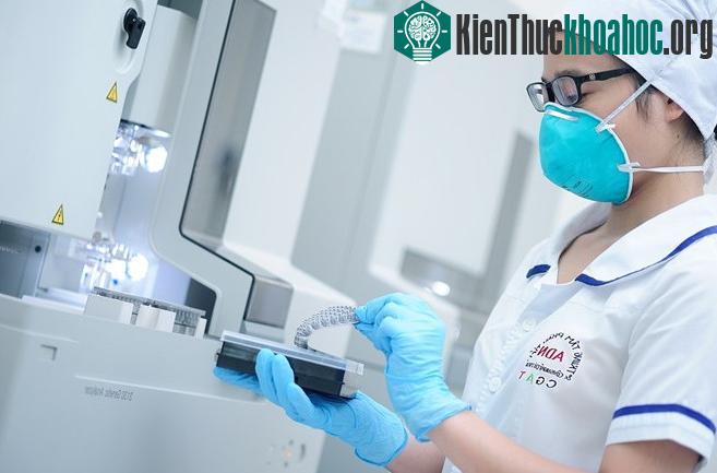 Sau đó, ADN sẽ được đưa vào hệ thống điện di mao quản để phân tích và giải trình tự ADN tự động.