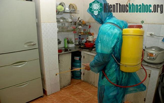 Người dân chỉ nên phun thuốc theo định kỳ 3 - 6 tháng