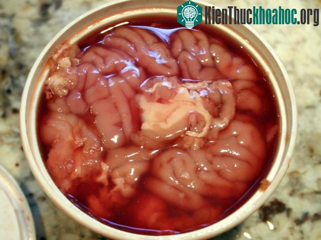 Cẩn trọng với thực phẩm chứa độc chất chết người ảnh 3