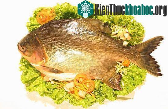 Hải sản tươi luôn có mùi dịu nhẹ hoặc không có mùi tanh