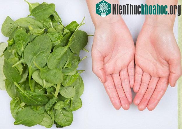 Mẹo ước lượng khẩu phần ăn giảm cân bằng bàn tay- ảnh 4