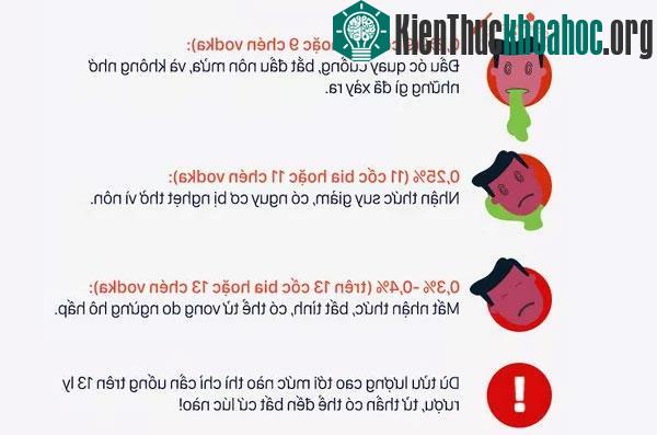 Lý giải vì sao có người tửu lượng cao, người "nửa ly đã gục" ảnh 3