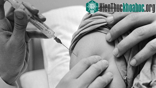 Tiêm kháng sinh kháng khuẩn Lao vào những năm 1950.