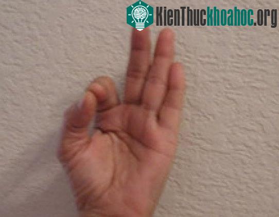 Gyan mudra