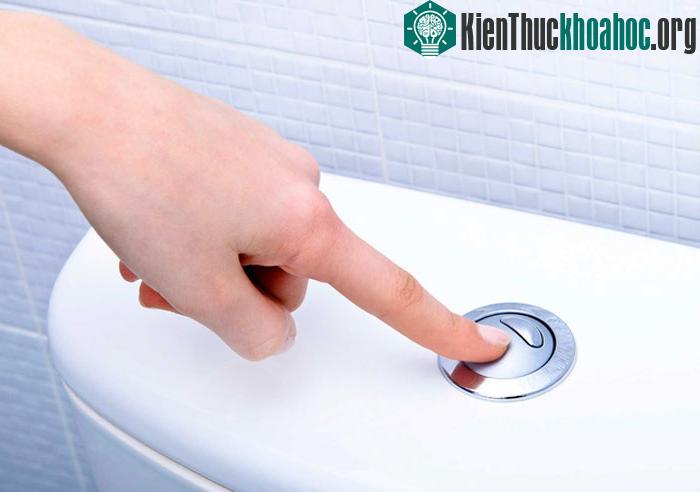 Vào nhà vệ sinh nhưng không làm gì cả