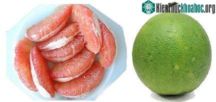 Bưởi da xanh da láng, trái nhỏ nhưng nặng là ngon.