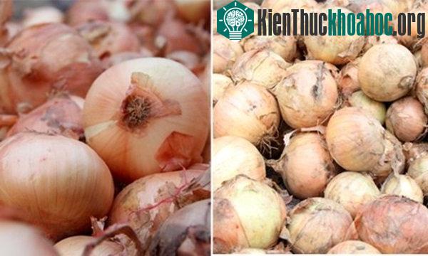 Hành tây Đà Lạt có vỏ lụa ngoài màu trắng.