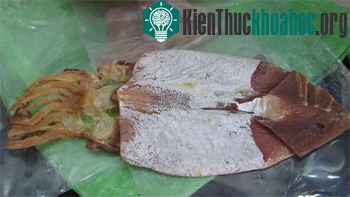 Mực là thực phẩm thường xuyên bị làm giả, chủ yếu từ làm từ cao su. (Ảnh minh họa).