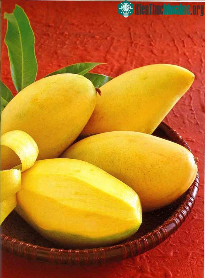 Cách chọn xoài ngon