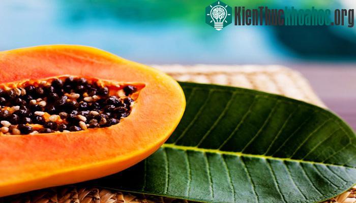 Cách chọn đủ đủ ngon, không có chất bảo quản