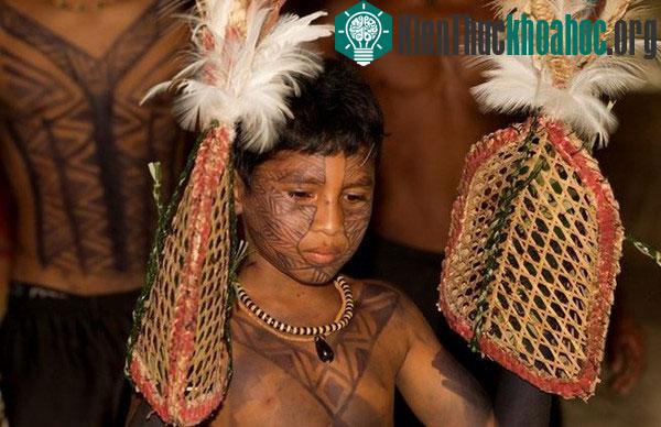 Đi tìm cơn đau tồi tệ nhất con người có thể chịu đựng