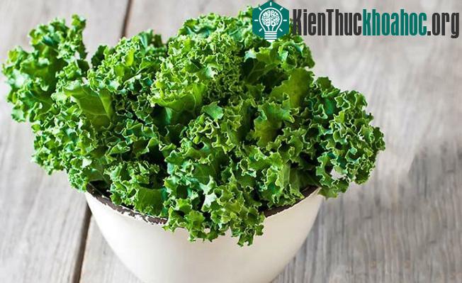 Những siêu thực phẩm giúp kéo dài tuổi thọ
