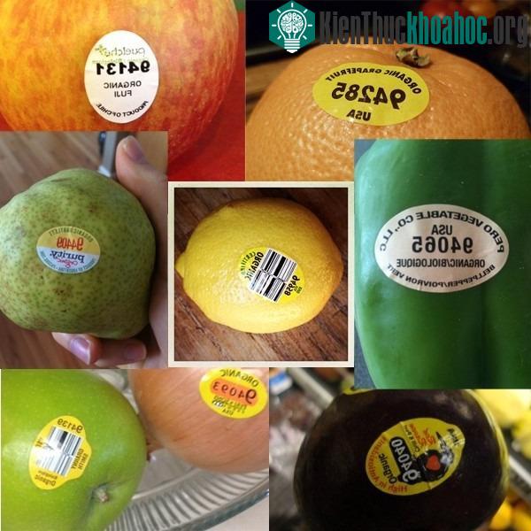 Trái cây có mã code bắt đầu với số 9 - 100% hữu cơ không sử dụng chất hóa học.