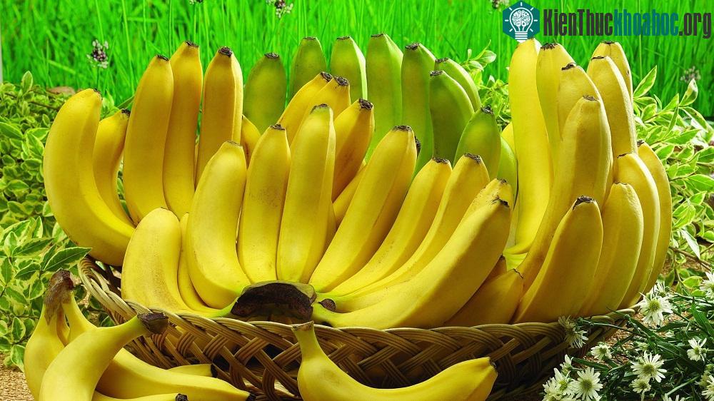 Thực phẩm tốt cho sức khỏe