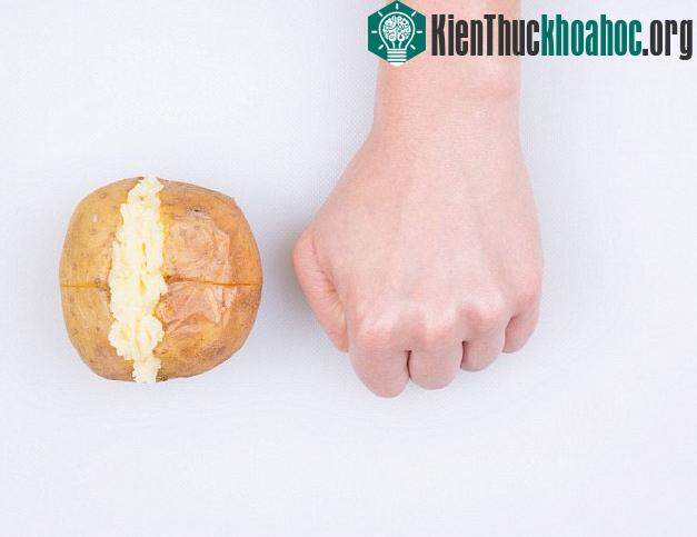 Mẹo ước lượng khẩu phần ăn giảm cân bằng bàn tay- ảnh 9