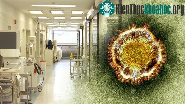 Phát hiện ca nhiễm MERS đầu tiên tại Philippine