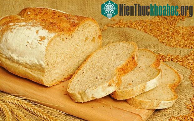 Bảo quản thực phẩm trời nồm ẩm