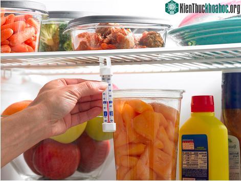 Cách sắp xếp thực phẩm trong tủ lạnh để giữ được lâu hơn