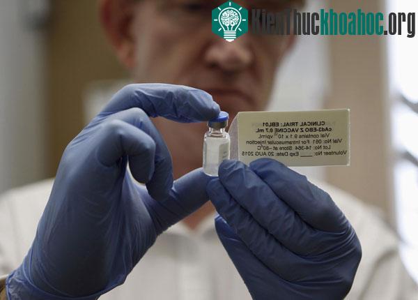 Vắc xin&nbsp;mới được kỳ vọng đẩy lùi dịch Ebola. (Ảnh: CBC)