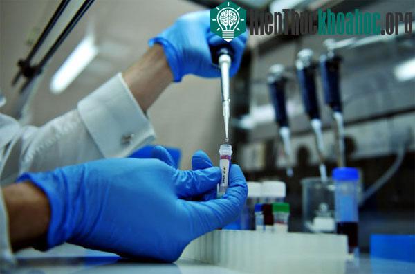Các nhà khoa học Pháp tìm ra cơ chế gene giúp hai người đàn ông không bị AIDS - (Ảnh: AFP)