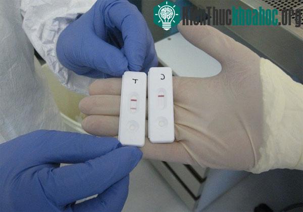 Ảnh:&nbsp;science-et-vie.com