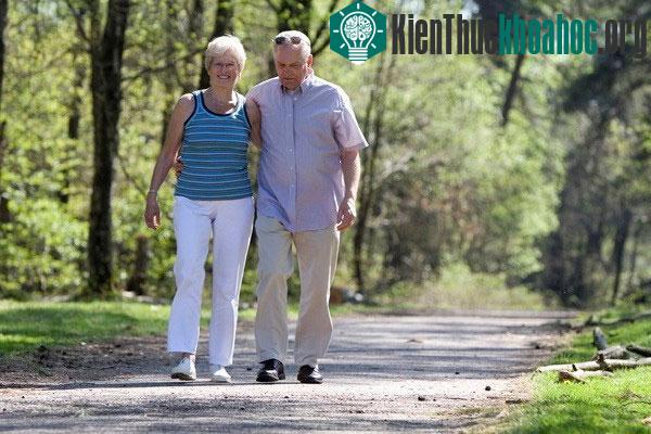 Ảnh:&nbsp;healthyliving.kripalu.org
