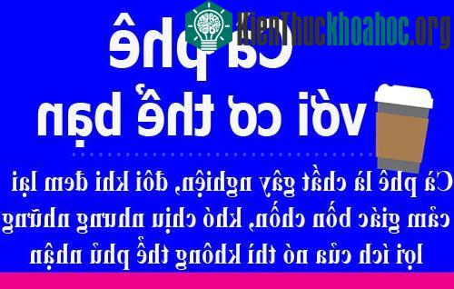 Cà phê giảm 33% nguy cơ tiểu đường